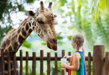 7 Best Zoos in Miami for Kids to Enjoy